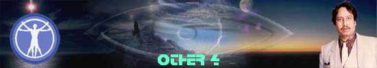 Other 4